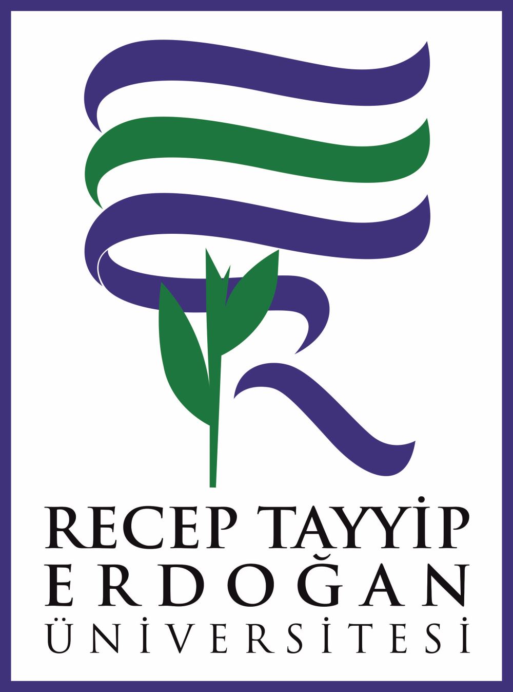 Recep Tayyip Erdogan University (R.T.E. Üniversitesi)